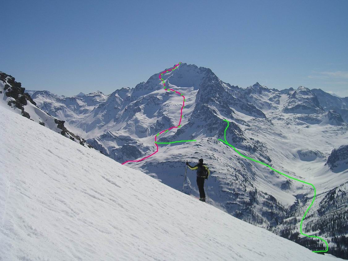 il versante N della Cima Piazzi
