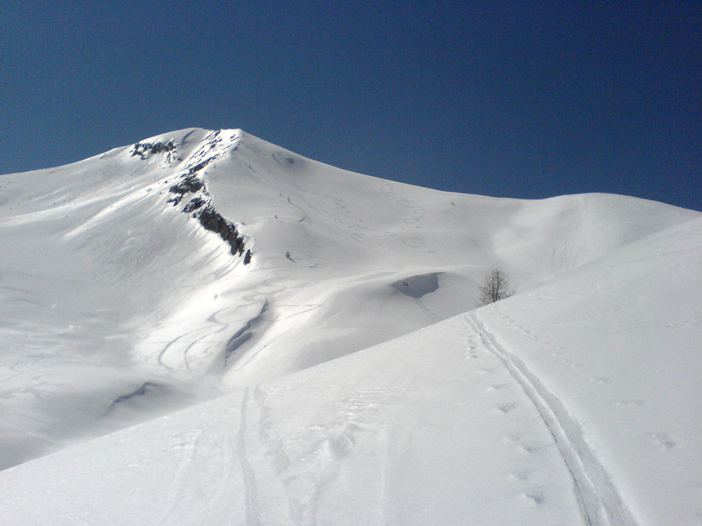 descente du Bonaparre