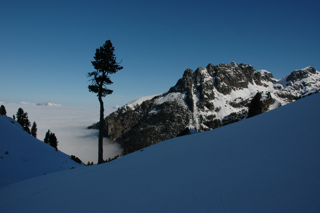 Dans le début de la montée vers le col de la Grande Vaudaine
