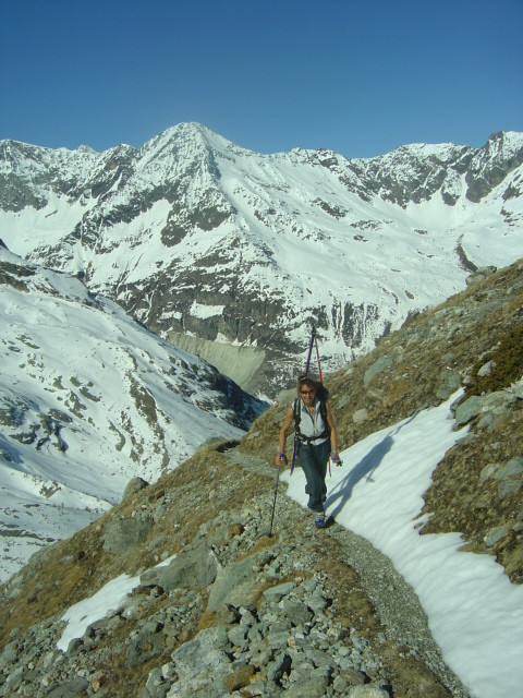 Sur le chemin d'été de la cabane d'Arpitetta