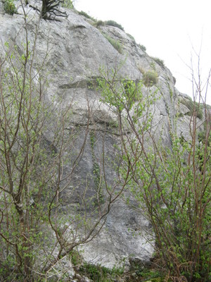 blocs du béout blocs du béout