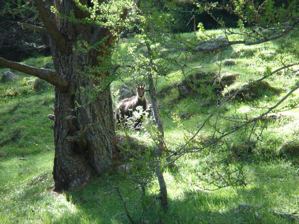Vallon des Erps