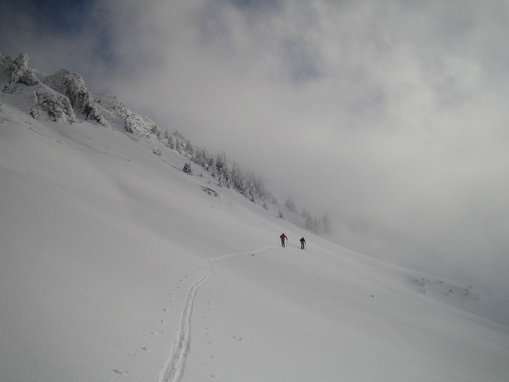 Versant N de la Crête du Grand Serre