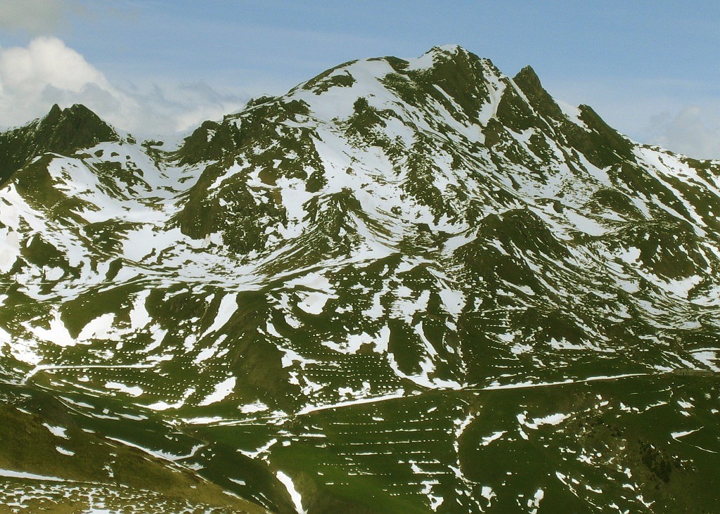 Mont Coin