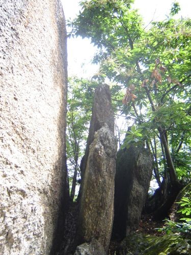 Roche Mazura