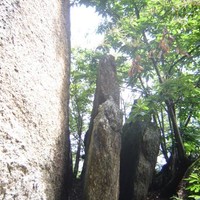 Roche Mazura