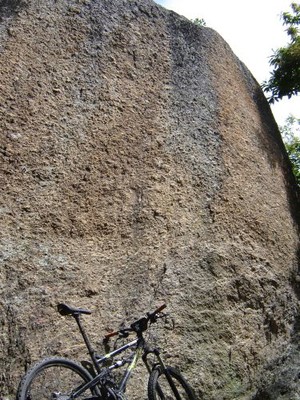 Roche Mazura Roche Mazura
