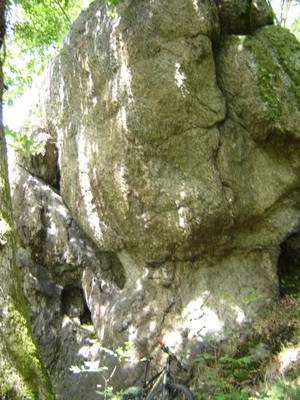 Roche Mazura Roche Mazura