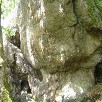 Roche Mazura