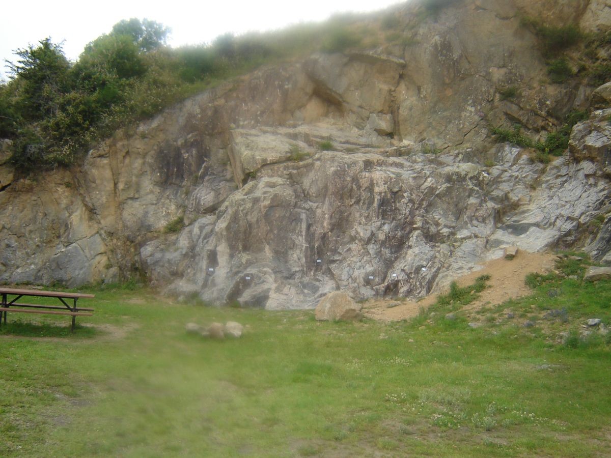 Falaise de Riverie exposée au sud