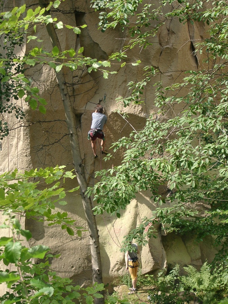 Ettringen 4