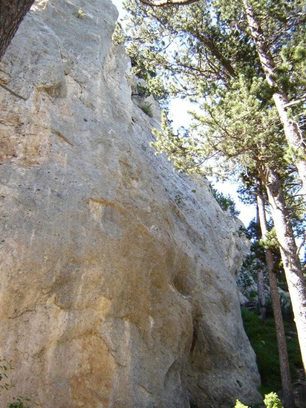 Roche qui pisse