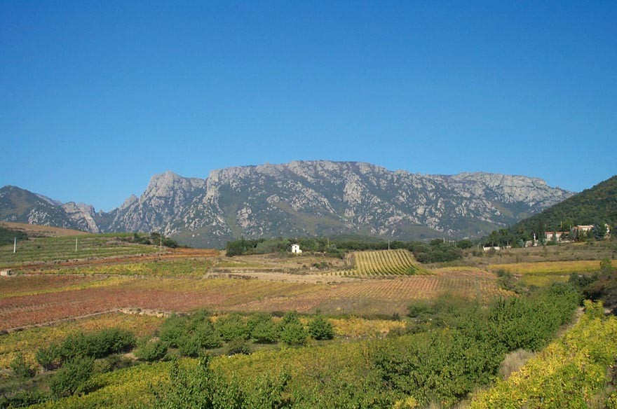 Le massif du Caroux