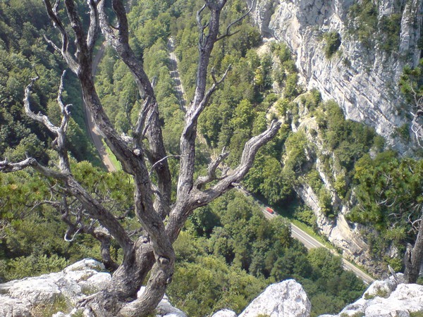 Du gaz depuis le haut de la Mustapha