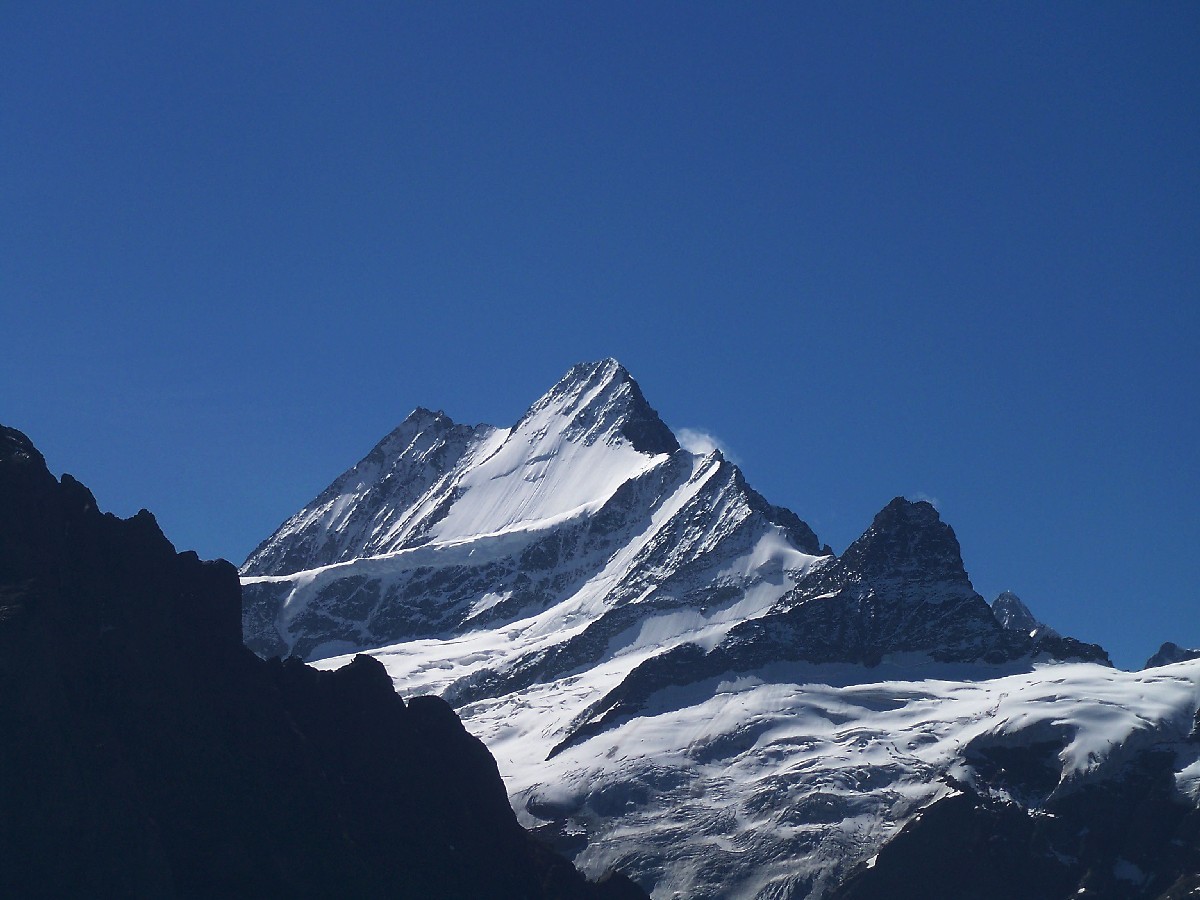 Lauteraarhorn (4042m) - Schreckhorn (4078m)