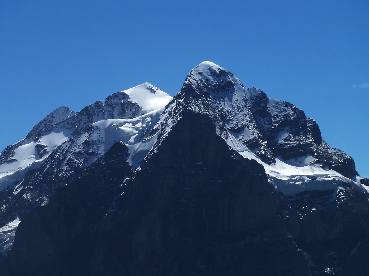 Le tryptique du Wetterhorn (3701m)