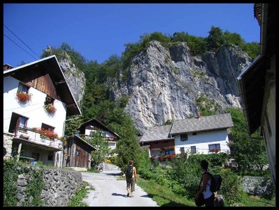 bohinjska bela bohinjska bela