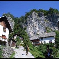 bohinjska bela