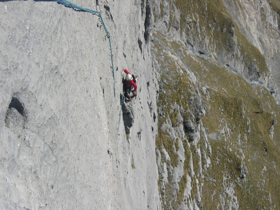 Pfaffenhut Sternschnuppe