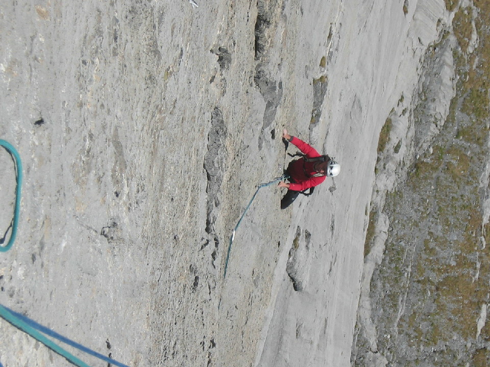 Pfaffenhut Sternschnuppe