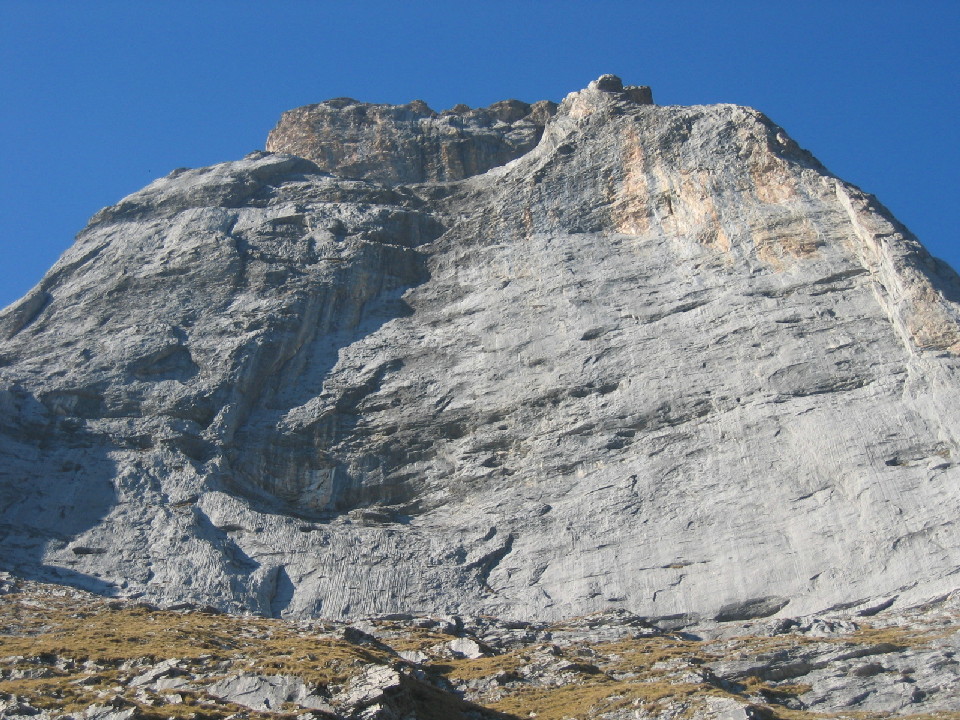Pfaffenhut Sternschnuppe