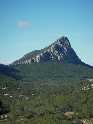 Pic St Loup Pic St Loup