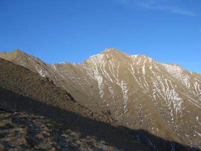 Tête de Siguret Tête de Siguret
