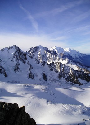 chardonnet-verte-blanc