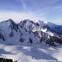 chardonnet-verte-blanc
