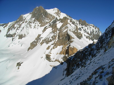 Dent parrachée