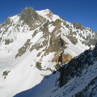 Dent parrachée