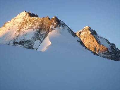 Grd Cornier - Dt Blanche