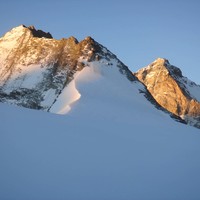 Grd Cornier - Dt Blanche