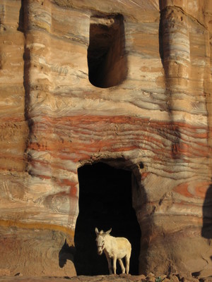 jordan - Petra jordan - Petra
