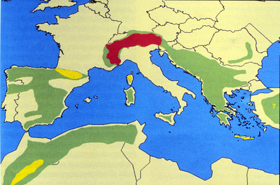 Répartition Répartition