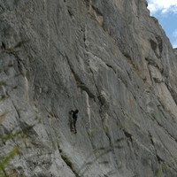 L'ecuelle