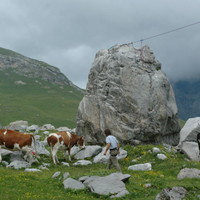 Arrivée de la tyrolienne, avec la faune locale...