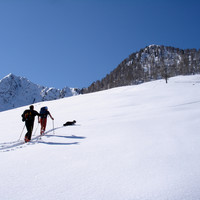 La cima boscosa del Dosso Tacher 2093 m.
