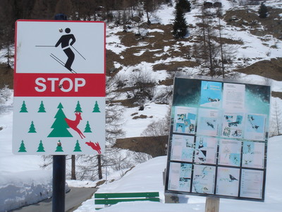 Blatten Lotschental >> vallon interdit d'accès! Blatten Lotschental >> vallon interdit d'accès!