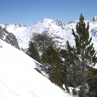 crête de la Pègue, vue vers l'est (face sud, haut du couloir de descente)
