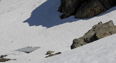 23 mai, encore beaucoup de neige au refuge de la Fare