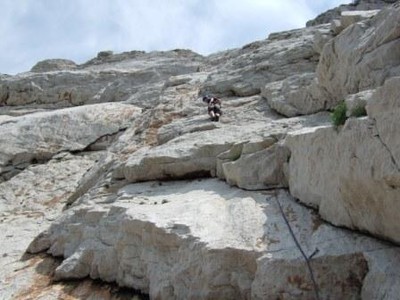 Guigui dans L1 Guigui dans L1