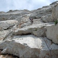 Guigui dans L1