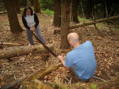 sciage de buche à l'ancienne sciage de buche à l'ancienne