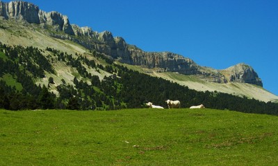 Haut vallon de Combau et Sommet de Montagnette Haut vallon de Combau et Sommet de Montagnette