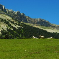 Haut vallon de Combau et Sommet de Montagnette