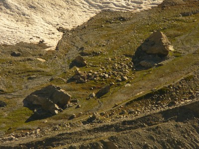 Balmes de François Blanc