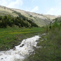 Ruisseau du Jovet vers 1580m