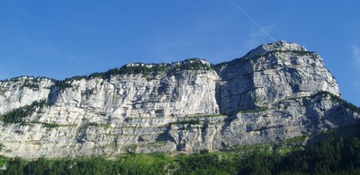 Pinet - Truc