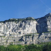 Pinet - Truc